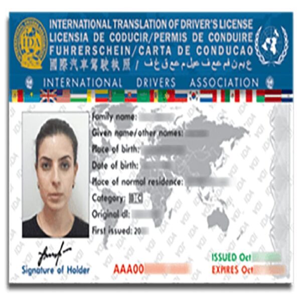 Brazilian Driving License 2