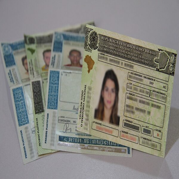 Brazilian Driving License 3