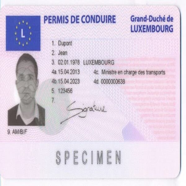 Luxembourg Driving License 2