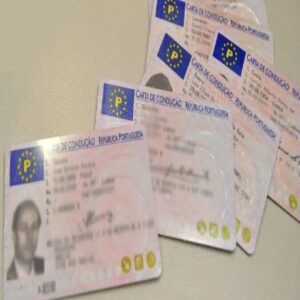 Portuguese Driving License 1