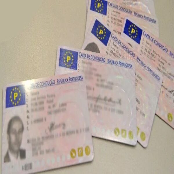 Portuguese Driving License 1